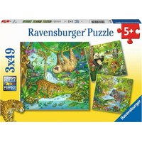 RAVENSBURGER Puzzle Zvieratá v džungli 3x49 dielikov