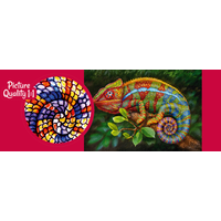 CHERRY PAZZI Puzzle Chameleon 1000 dielikov