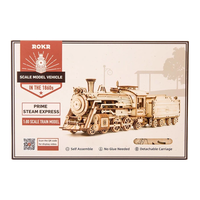 ROBOTIME Roker 3D drevené puzzle Prime Steam Express 308 dielikov