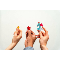 GIBSONS Puzzle Cestička medzi chalupami 500 dielikov