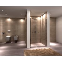 Sprchové dvere MULTI SPACE 110 cm