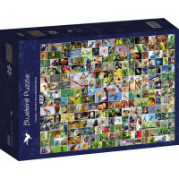 BLUEBIRD Puzzle Koláž: Najkrajšie vtáky sveta 4000 dielikov