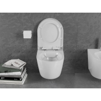 Závesné WC LENA MAX, 30298000