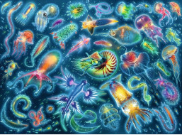 RAVENSBURGER Puzzle Medúzy 500 dielikov