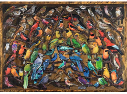 RAVENSBURGER Puzzle Vtáky sveta 1000 dielikov