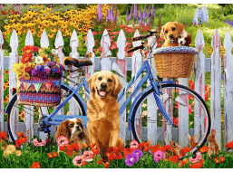 TREFL Puzzle Psie dobrodružstvo 500 dielikov