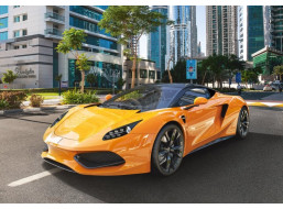 CASTORLAND Puzzle Arrinera Hussarya 33, 500 dielikov