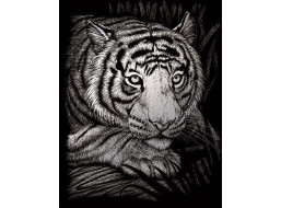 ROYAL & LANGNICKEL Strieborný škrabací obrázok Číhajúci tiger
