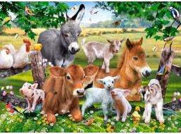 CASTORLAND Puzzle Na farme 100 dielikov