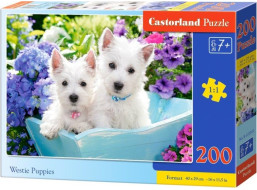 CASTORLAND Puzzle Šteňatá westhighlandského teriéra 200 dielikov