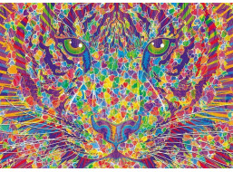SCHMIDT Puzzle Divokosť v tigriom srdci 2000 dielikov