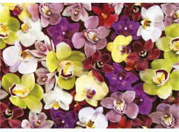 EDUCA Puzzle Koláž z orchideí 1000 dielikov
