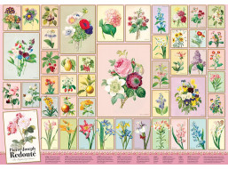 COBBLE HILL Puzzle Pierre-Joseph Redouté 1000 dielikov