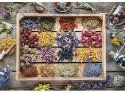 PIATNIK Puzzle Liečivé bylinky 1000 dielikov
