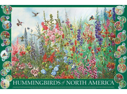 COBBLE HILL Puzzle Kolibríky Severnej Ameriky 2000 dielikov