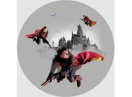 Detská samolepiaca fototapeta - HARRY POTTER 2 - guľatá - 70 cm