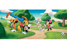 Detská fototapeta DISNEY - Mickey Mouse s kamarátmi v parku - 202x90 cm