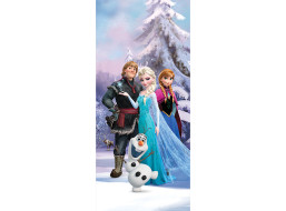 Detská fototapeta DISNEY - Frozen v kúzelnom lese - 90x202 cm