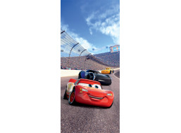Detská fototapeta DISNEY - AUTA - jazda na okruhu - 90x202 cm