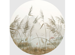 Moderné fototapety - Rákosie - guľatá - 140 cm