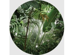 Moderné fototapety - Tropické rastliny - guľatá - 140 cm