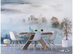 Moderné fototapety - Hmlisté ráno - 360x270 cm