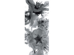 Moderné fototapety - Kvety sakury - čiernobiele - 90x202 cm