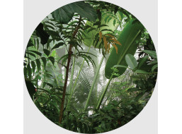 Moderné fototapety - Tropické rastliny - guľatá - 70 cm