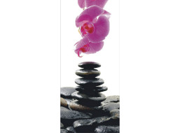 Moderné fototapety - Orchidea a kamene - 90x202 cm