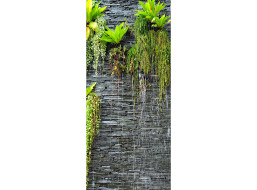 Moderné fototapety - Rastliny na stene - 90x202 cm