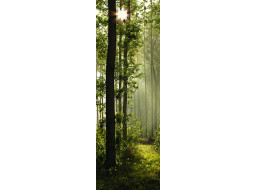 Moderné fototapety - Magický les - 90x270 cm