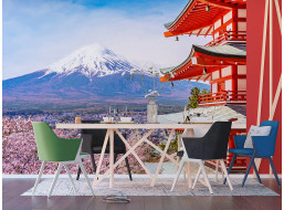 Moderné fototapety - Kvitnúce sakura v Japonsku - 360x270 cm