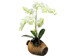 Moderná samolepka na stenu - Orchidea v kvetináči - 42,5x65 cm
