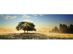 HEYE Panoramatické puzzle Hra svetla 1000 dielikov