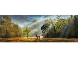 HEYE Panoramatické puzzle Ranné pozdravenie 1000 dielikov