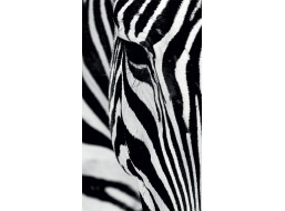 Dizajnový záves - Zebra - 140x245 cm