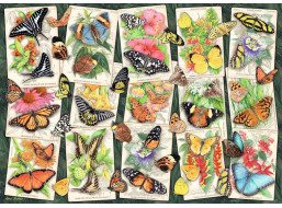 RAVENSBURGER Puzzle Tropickí motýle 1000 dielikov