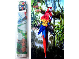 Norimpex Diamantové maľovanie Farebné papagáje 80x40 cm