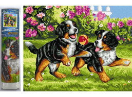 Norimpex Diamantové maľovanie Hravé šteniatka 30x40 cm