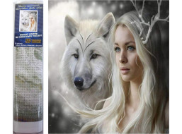 Norimpex Diamantové maľovanie Kráľovná ľadových plání 30x40 cm