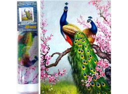 Norimpex Diamantové maľovanie Pávy 30x40 cm