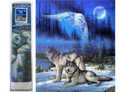 Norimpex Diamantové maľovanie Divoký spln 30x40 cm