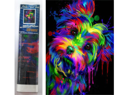 Norimpex Diamantové maľovanie Yorkshirský teriér 30x40 cm