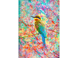 ENJOY Puzzle Šťastný vtáčik 1000 dielikov