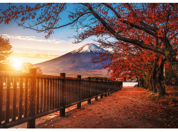 TREFL Puzzle Premium Plus Photo Odyssey: Hora Fuji, Japonsko 1000 dielikov