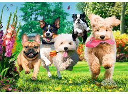 TREFL Puzzle Premium Plus Tea Time: Problémy na obzore 1000 dielikov