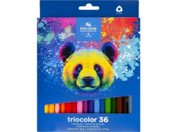 KOH-I-NOOR Trojhranné pastelky Triocolor 36 ks Medveď