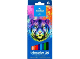 KOH-I-NOOR Trojhranné pastelky Triocolor 36 ks Tiger