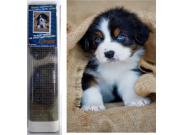 Norimpex Diamantové maľovanie Šteňa Bernského salašníckeho psa 30x40 cm