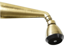 Sapho Nástenná sprcha s otočným kĺbom, bronz 9046